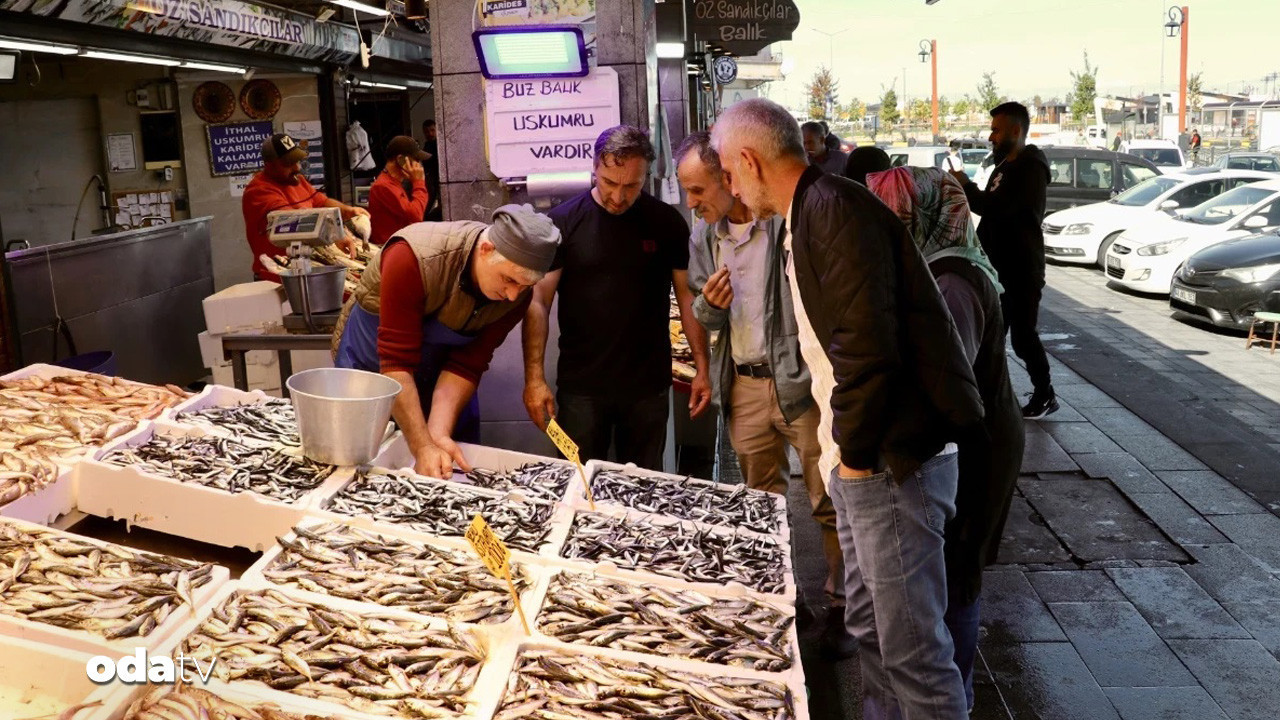 hamside fiyatlar havaya gore UzbxmTMw