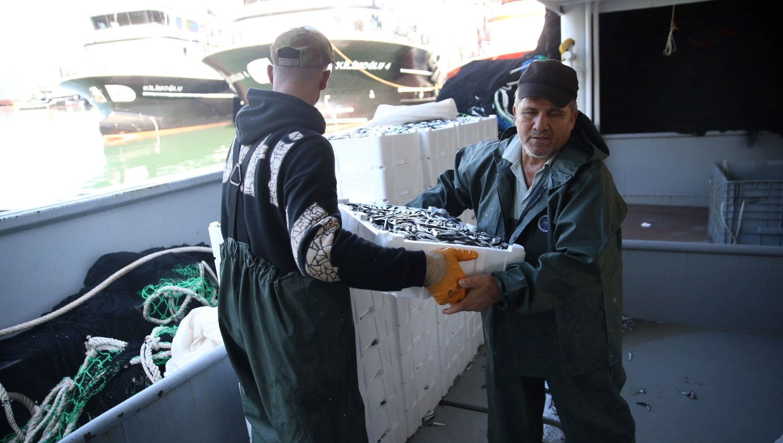 karadenizde hamsi bereketi kilosu 100 150 lira 6KZeyvKV