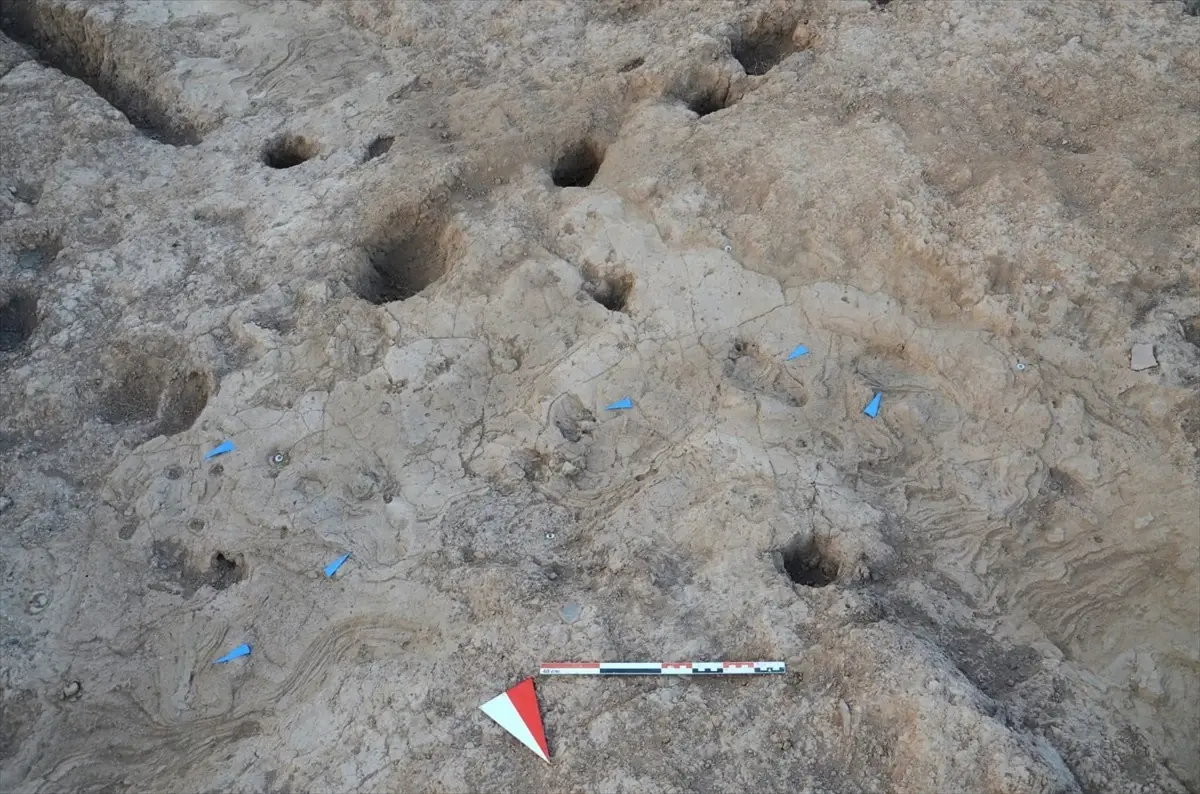 5000 yil onceki ayak izleri bulundu A2j3GEGU