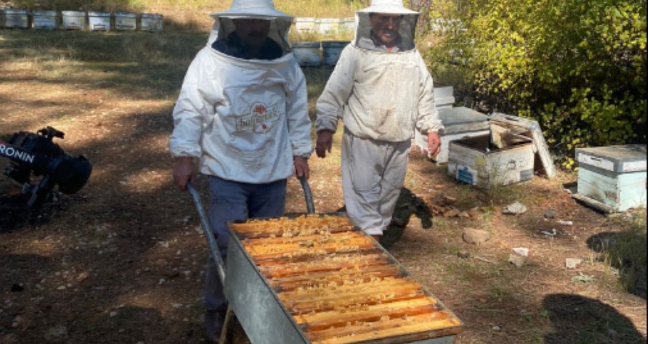 yangindan kacan arici mazota takildi fiG2ZL1n.jpg