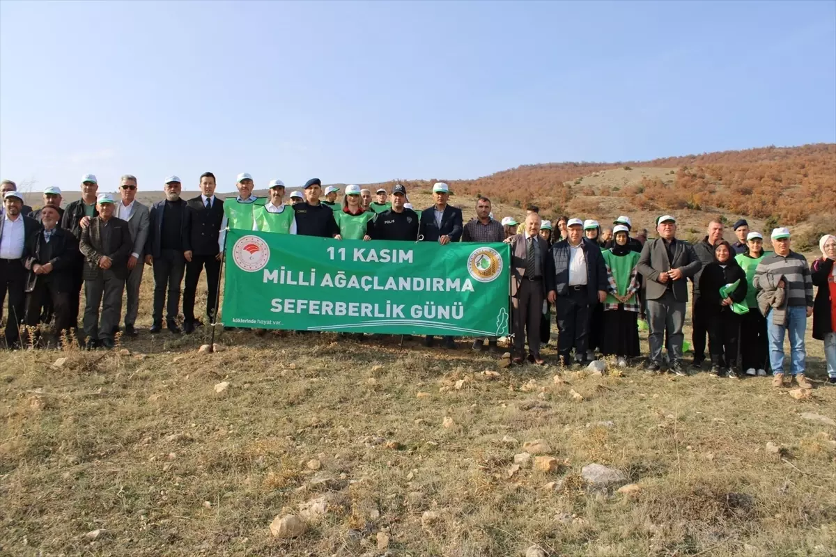 Mecitözü’nde Fidan Dikim Etkinliği