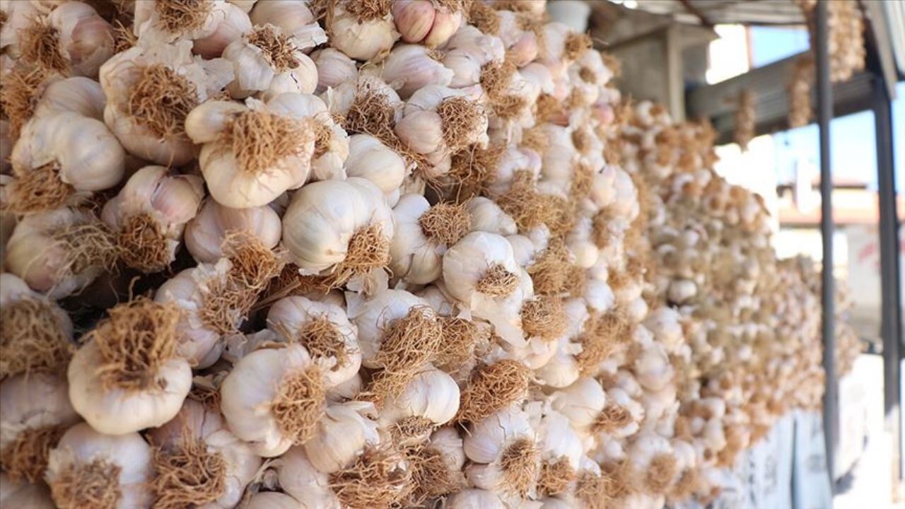 sarimsak yemek icin on neden ve taskopru sarimsaginin essiz yapisi EhT4Wfym.webp