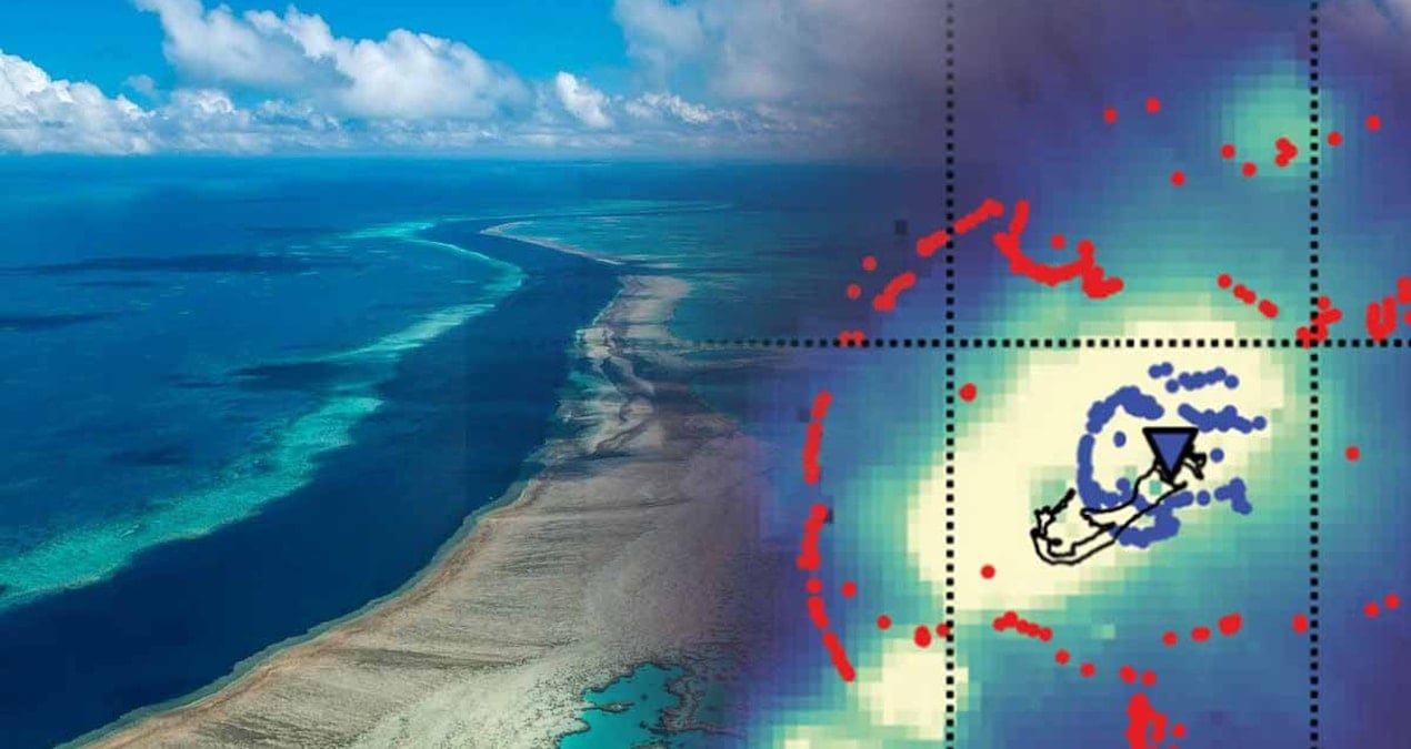 Anahtar, okyanusun 50 km derinliğinde yatıyor! Tüm beklentileri alt üst edecek