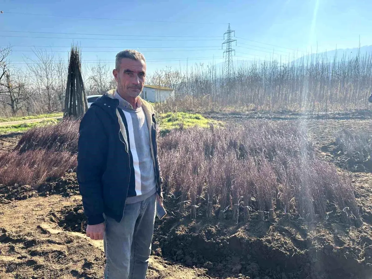 İnegöl’den Dünya’ya Fidan İhracı