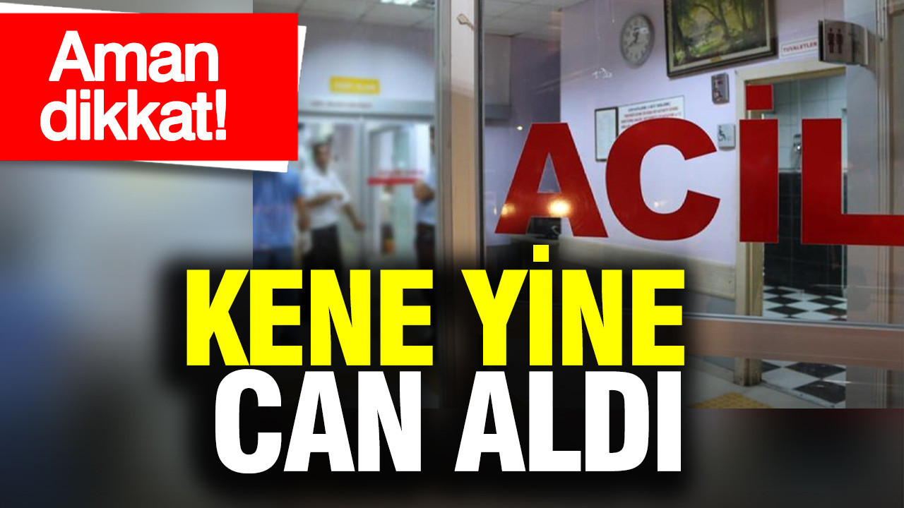 aman-dikkat-kene-yine-can-aldi-eMtjIMLI