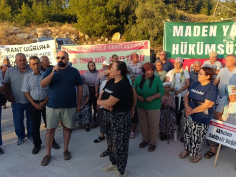Haber gorseli